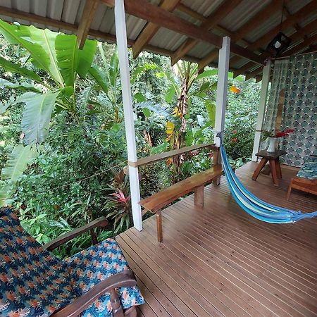 Casa Lina Sloth View Exotic Apartment With Privat Kitchen Puerto Viejo de Talamanca Extérieur photo