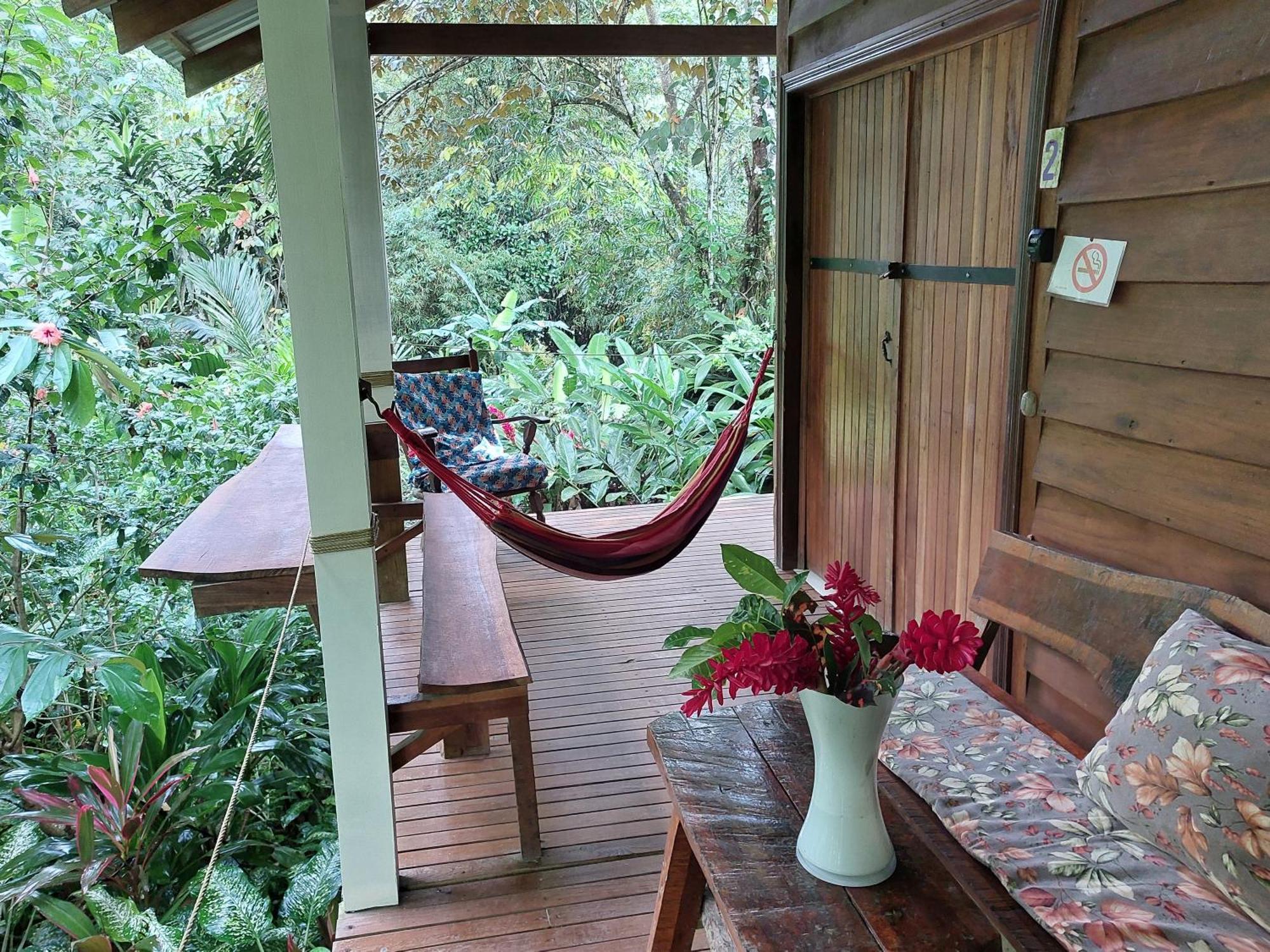 Casa Lina Sloth View Exotic Apartment With Privat Kitchen Puerto Viejo de Talamanca Extérieur photo