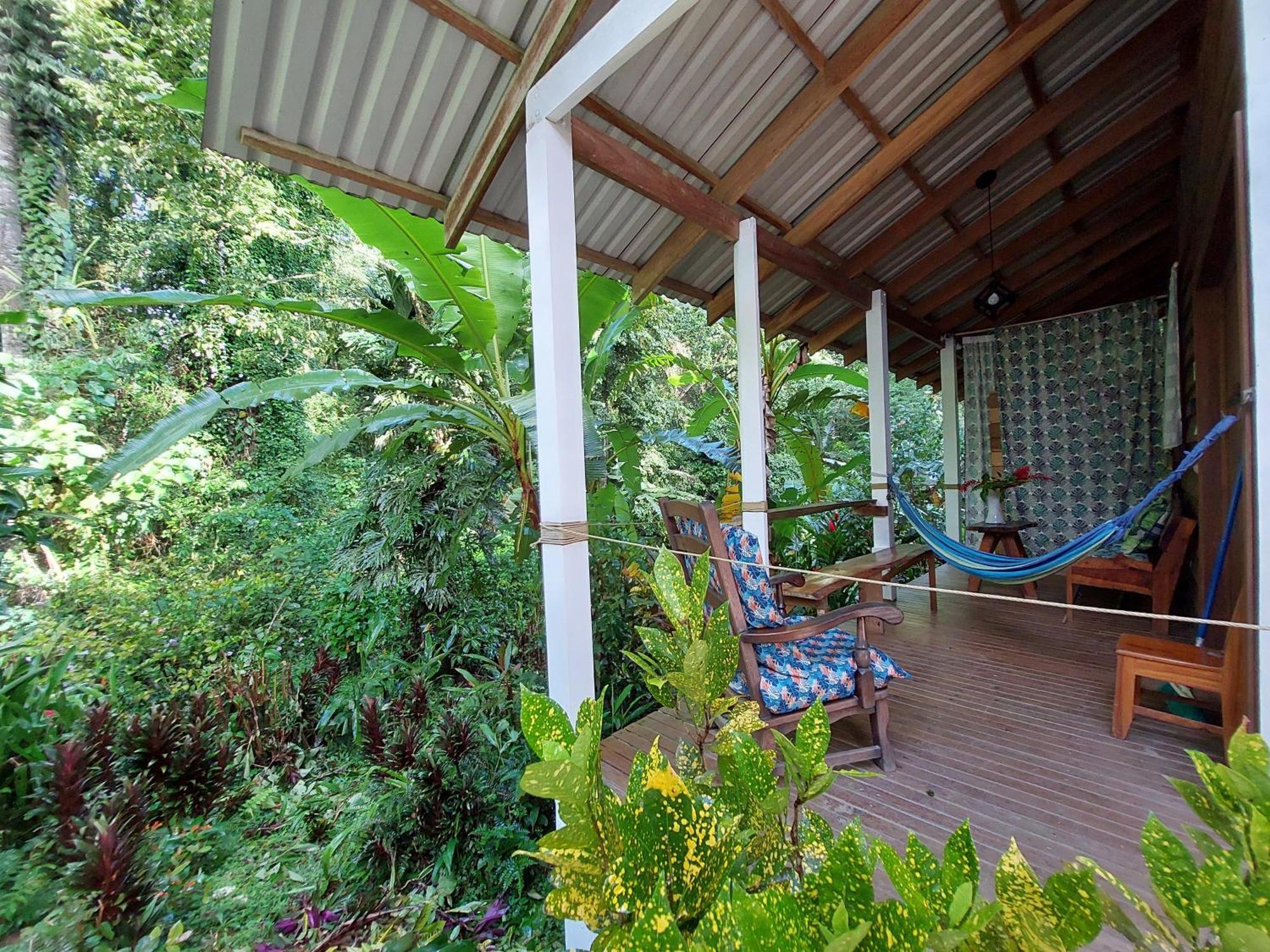 Casa Lina Sloth View Exotic Apartment With Privat Kitchen Puerto Viejo de Talamanca Extérieur photo