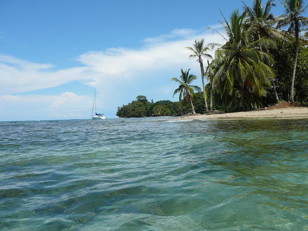 Casa Lina Sloth View Exotic Apartment With Privat Kitchen Puerto Viejo de Talamanca Chambre photo