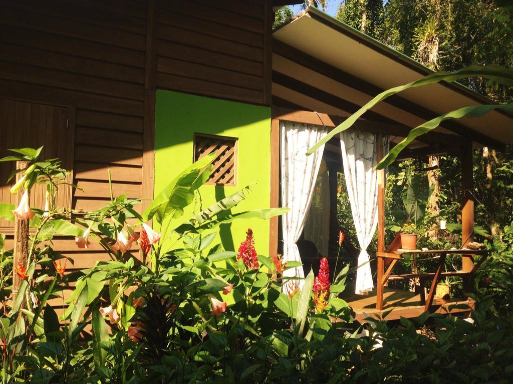 Casa Lina Sloth View Exotic Apartment With Privat Kitchen Puerto Viejo de Talamanca Extérieur photo