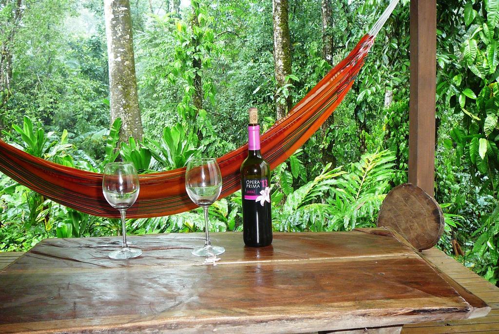 Casa Lina Sloth View Exotic Apartment With Privat Kitchen Puerto Viejo de Talamanca Chambre photo