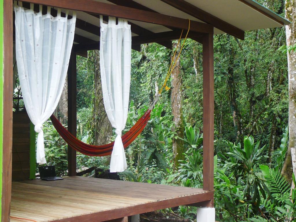 Casa Lina Sloth View Exotic Apartment With Privat Kitchen Puerto Viejo de Talamanca Chambre photo