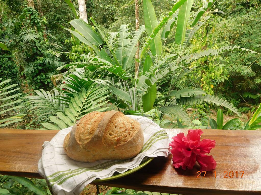 Casa Lina Sloth View Exotic Apartment With Privat Kitchen Puerto Viejo de Talamanca Extérieur photo