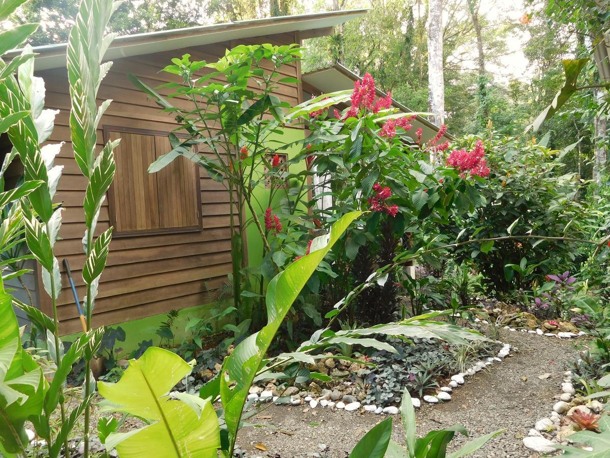 Casa Lina Sloth View Exotic Apartment With Privat Kitchen Puerto Viejo de Talamanca Extérieur photo