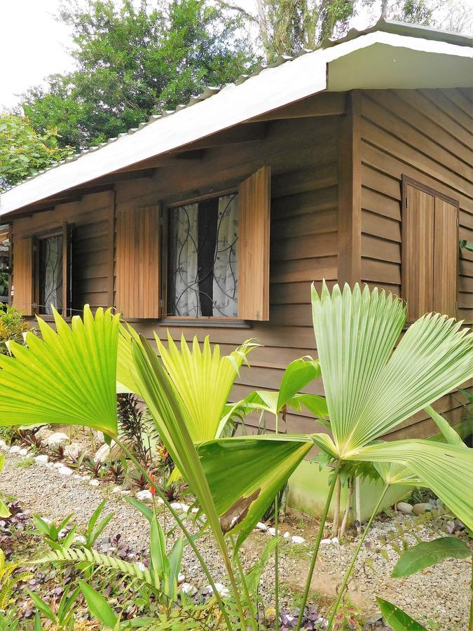 Casa Lina Sloth View Exotic Apartment With Privat Kitchen Puerto Viejo de Talamanca Extérieur photo