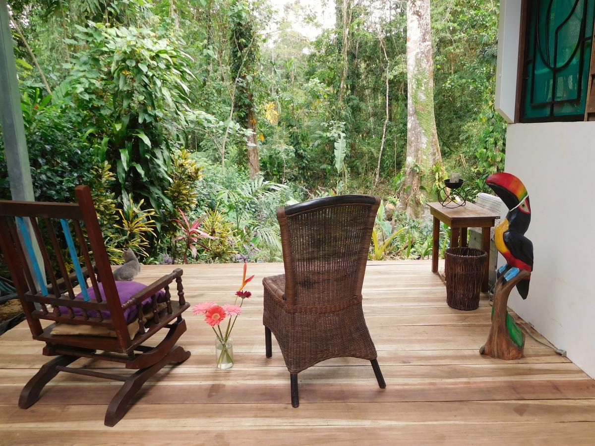 Casa Lina Sloth View Exotic Apartment With Privat Kitchen Puerto Viejo de Talamanca Extérieur photo
